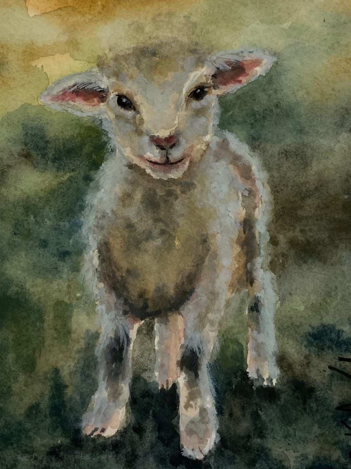 Aquarela #07 — Sheep