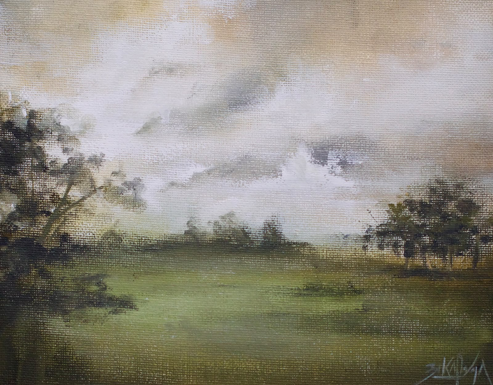 Green field beneath a cloudy sky