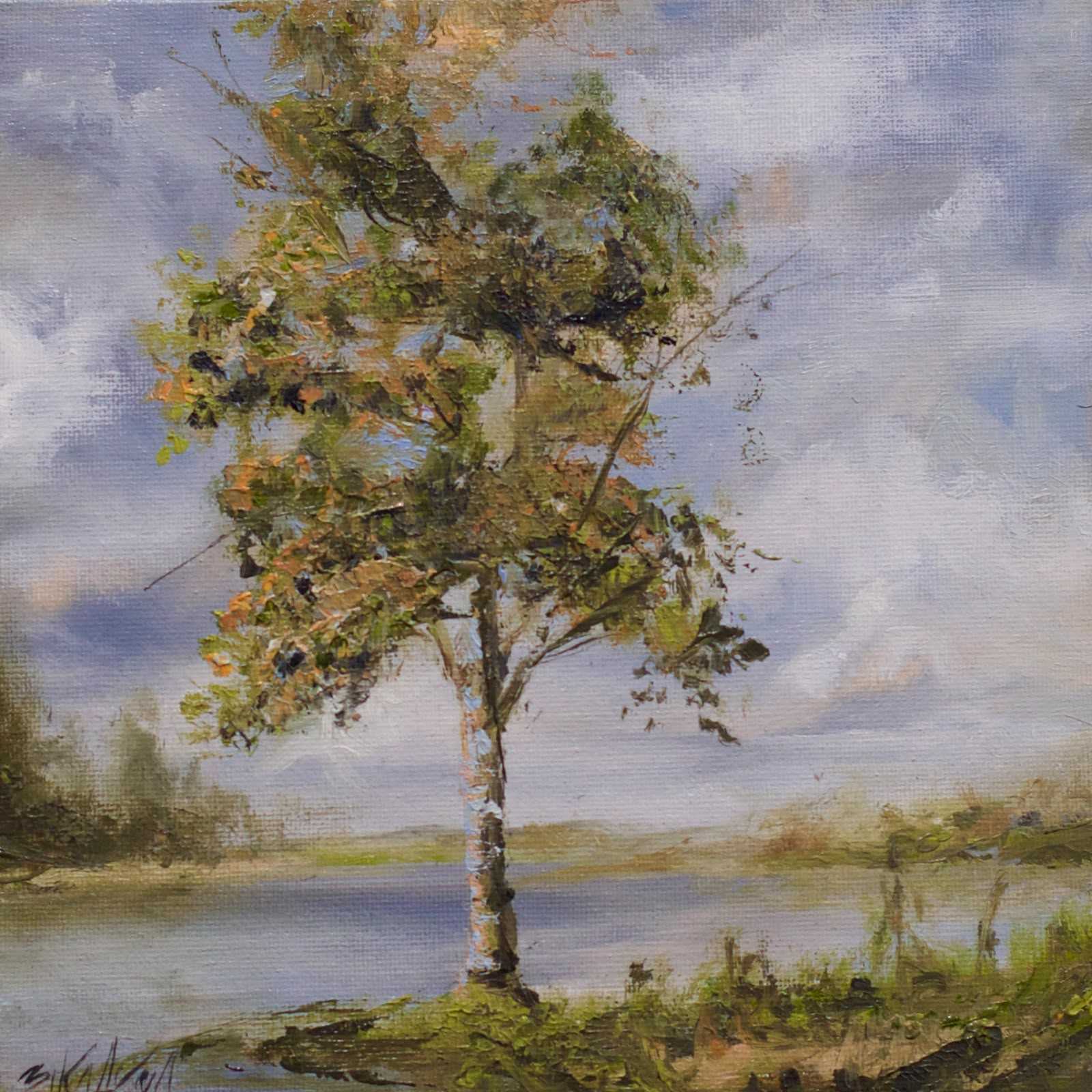 Tree by the water