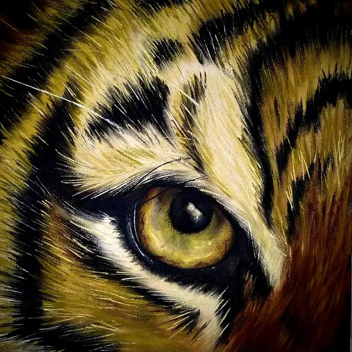 Detalhe de um olho de felino e pelagem dourada
